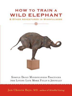 cover image of How to Train a Wild Elephant